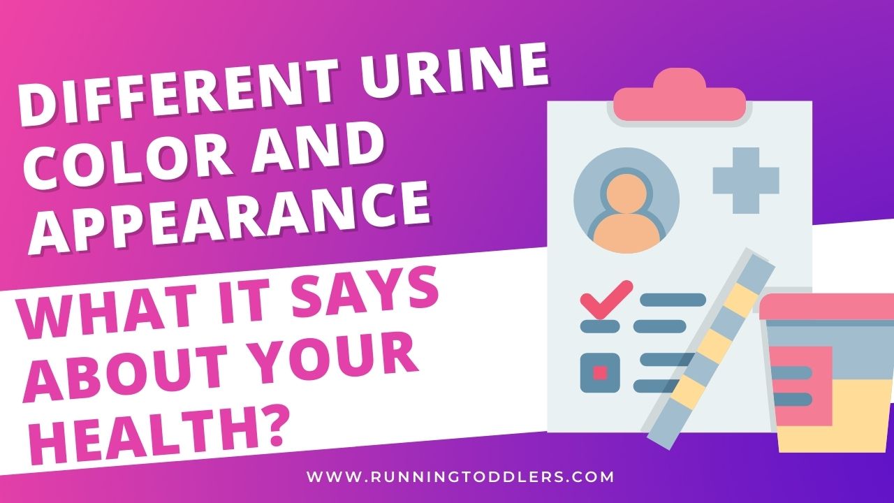 Read more about the article Different Urine Color and Appearance| What it says about your health?